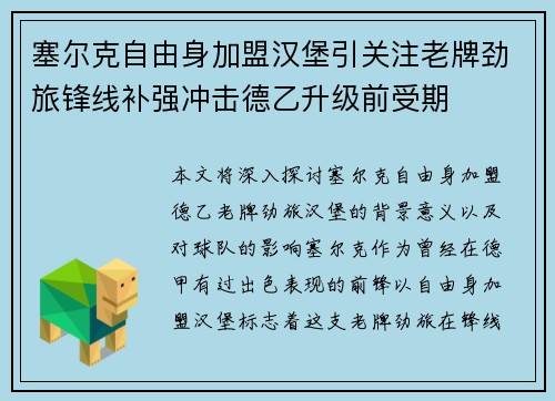 塞尔克自由身加盟汉堡引关注老牌劲旅锋线补强冲击德乙升级前受期 塞尔克自由身加盟汉堡引关注老牌劲旅锋线补强冲击德乙升级前受期